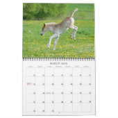 Calendrier Haflinger Foies - taille moyenne (Mar 2026)