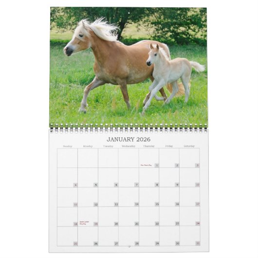 Calendrier Haflinger Foies - taille moyenne (Jan 2026)