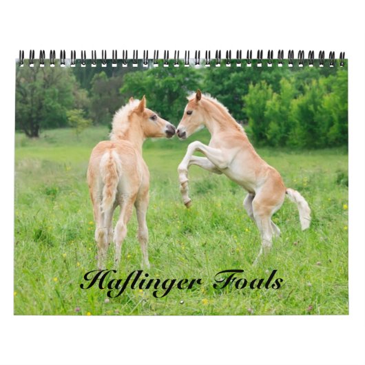 Calendrier Haflinger Foies - taille moyenne (Protection)