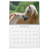 Calendrier Haflinger Foies - taille moyenne (Feb 2026)