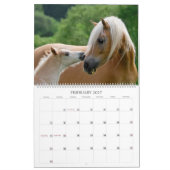 Calendrier Haflinger pouline la taille 2017 grande (Feb 2027)