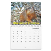 Calendrier Haïti (Feb 2027)