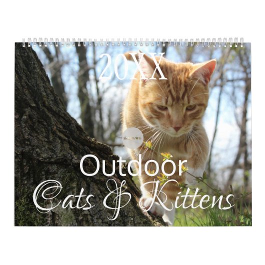 Calendrier HAMbWG Chats et chatons extérieurs (Protection)