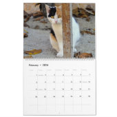 Calendrier HAMbyWG 2020 Kitty-Cats (Feb 2026)