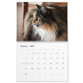 Calendrier HAMbyWG - Chats Bohémiens (Feb 2027)
