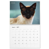 Calendrier HAMbyWG - Chats Bohémiens (Mar 2027)