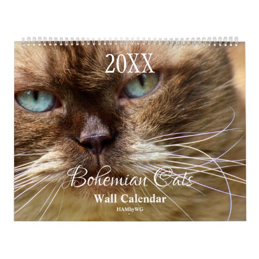 Calendrier HAMbyWG - Chats Bohémiens (Protection)