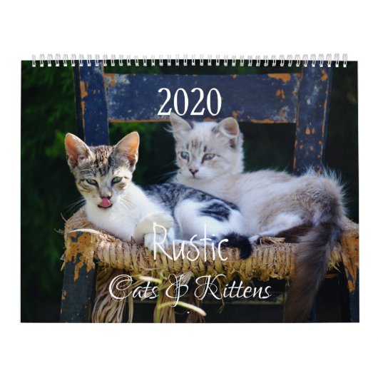 Calendrier HAMbyWG - Chats et chatons rustiques (Protection)