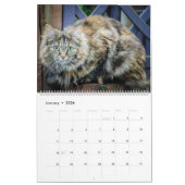 Calendrier HAMbyWG - Chats et chatons rustiques (Jan 2026)