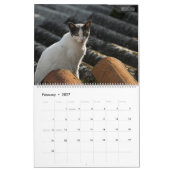 Calendrier HAMbyWG - Chats et Chatons Rustiques 2 (Feb 2027)