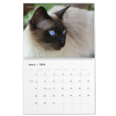 Calendrier HAMbyWG - Chats magnifiques (Mar 2026)