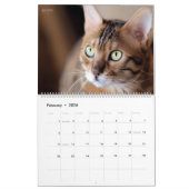 Calendrier HAMbyWG - Chats magnifiques (Feb 2026)