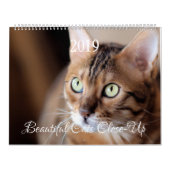 Calendrier HAMbyWG - Chats magnifiques (Protection)