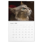 Calendrier HAMbyWG - Chats magnifiques (Jan 2026)