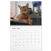 Calendrier HAMbyWG - Chats magnifiques (Mar 2026)