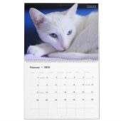 Calendrier HAMbyWG - Chats magnifiques (Feb 2026)