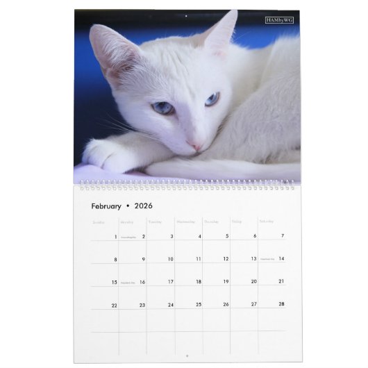 Calendrier HAMbyWG - Chats magnifiques (Feb 2026)