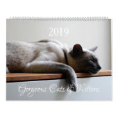 Calendrier HAMbyWG - Chats magnifiques (Protection)