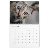 Calendrier HAMbyWG - Chats magnifiques (Jan 2026)