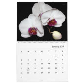 Calendrier HAMbyWG - Fleurs Magnifiques (Jan 2027)