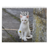 Calendrier HAMbyWG Kitten (Protection)