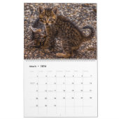 Calendrier HAMbyWG Kitten (Mar 2026)