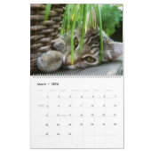 Calendrier HAMbyWG Kitty-Cats (Mar 2026)