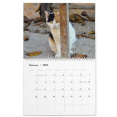 Calendrier HAMbyWG Kitty-Cats (Feb 2026)