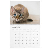 Calendrier HAMbyWG Kitty-Cats (Jan 2026)