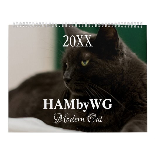 Calendrier HAMbyWG Modern Cats (Protection)