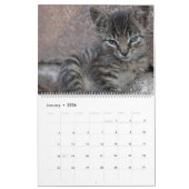Calendrier HAMbyWG - Plus de chatons (Jan 2026)