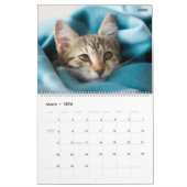 Calendrier HAMbyWG- Portrait d'un chaton (Mar 2026)