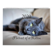 Calendrier HAMbyWG- Portrait d'un chaton (Protection)