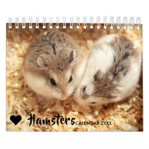 Calendrier Hammyville - étincelle