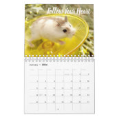 Calendrier Hammyville - étoiles de lumière (Jan 2026)