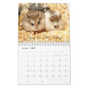 Calendrier Hammyville - léger et floral (Jan 2027)