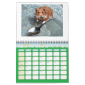 Calendrier hamster1, HAMSTERS, 2008 calender (Mar 2027)