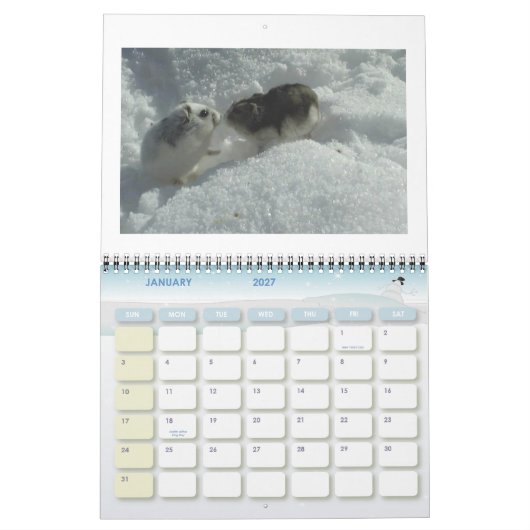 Calendrier hamster1, HAMSTERS, 2008 calender (Jan 2027)