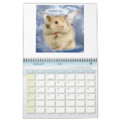 Calendrier hamster1, HAMSTERS, 2008 calender (Feb 2027)