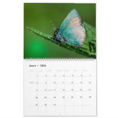 Calendrier Happy Butterflies (Mar 2026)