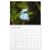 Calendrier Happy Butterflies (Jan 2027)