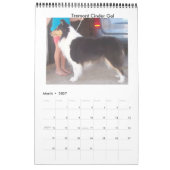 Calendrier Harley Collies (Mar 2027)