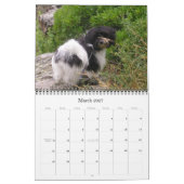 Calendrier Havanese 2009 (Mar 2027)