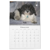 Calendrier Havanese 2009 (Feb 2026)