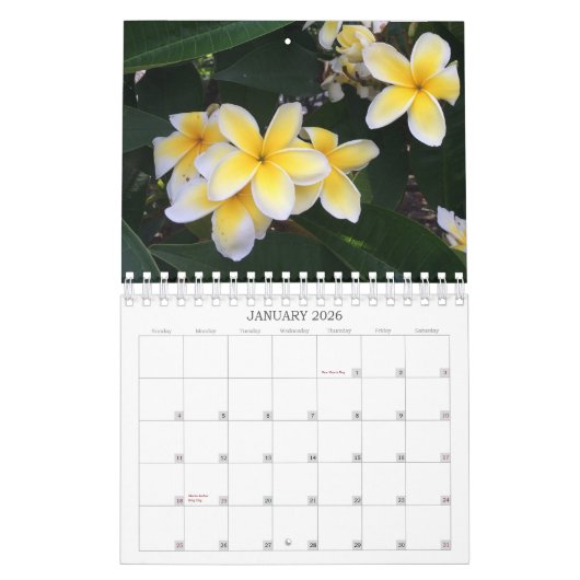 Calendrier Hawaii (Jan 2026)