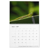 Calendrier Hawaii 2023 (Mar 2027)