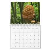 Calendrier Hawaii pittoresque (Jan 2027)