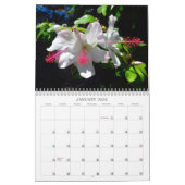 Calendrier Hawaiian Hibiscus 2022 (Jan 2026)