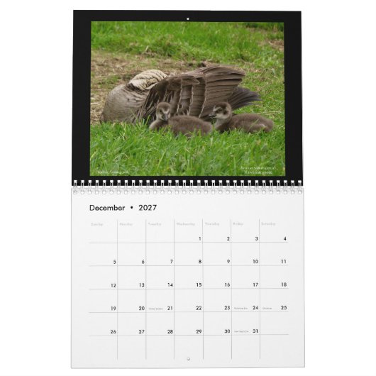 Calendrier Hawaii's Jewels 2021 (Dec 2027)