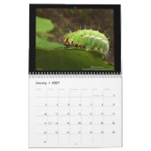 Calendrier Hawaii's Jewels 2021 (Jan 2027)